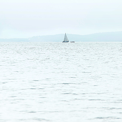 Photo #13845761