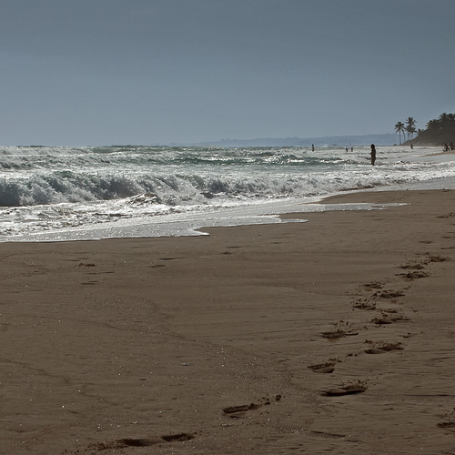 Photo #13845784