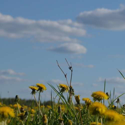 Photo #13845847