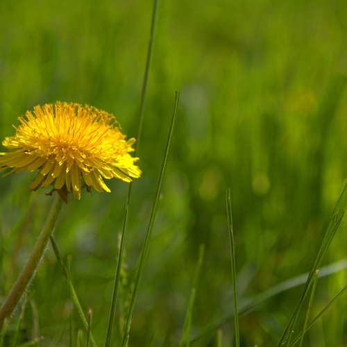 Photo #13845896