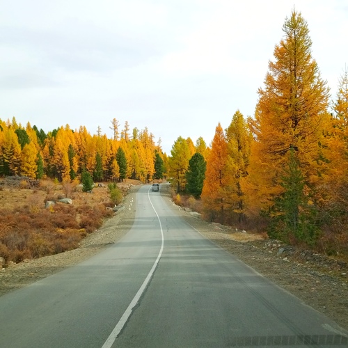 Photo #13845990