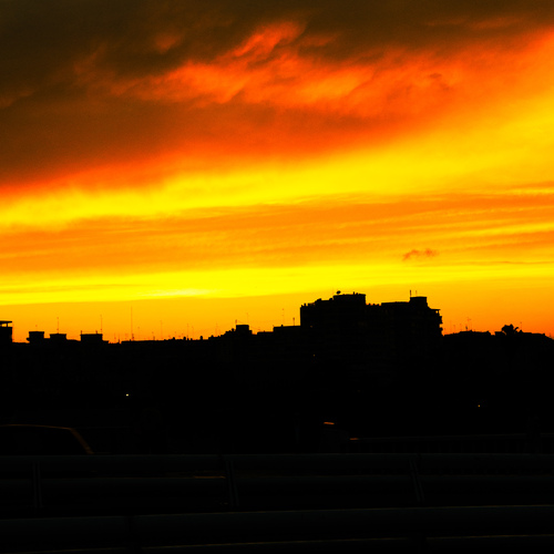 Photo #13846240