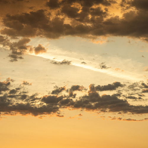 Photo #13846241