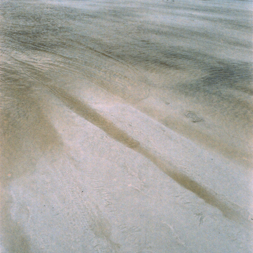 Photo #13846243