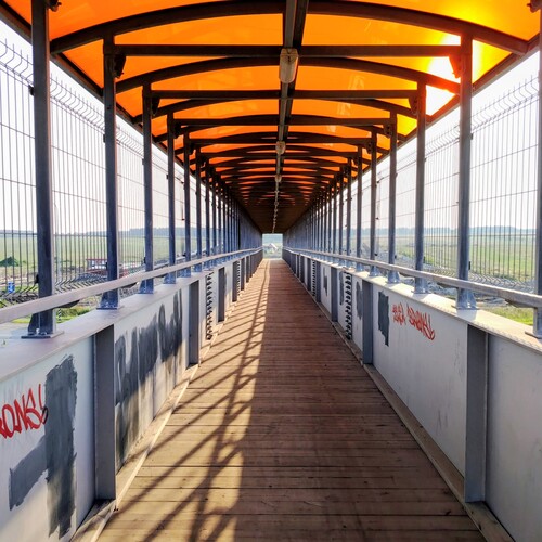 Photo #13846299