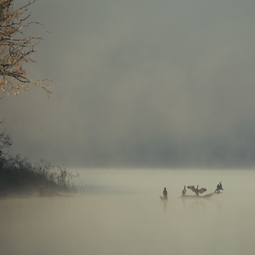 Photo #13846447
