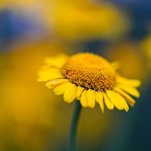 Photo #13846466
