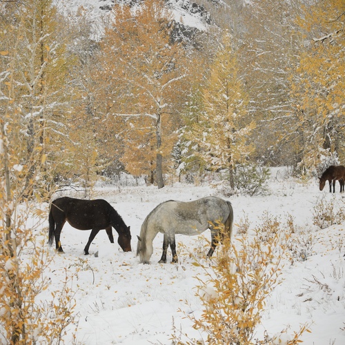 Photo #13846469