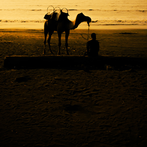 Photo #13846503