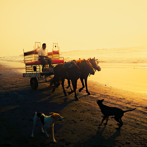 Photo #13846504