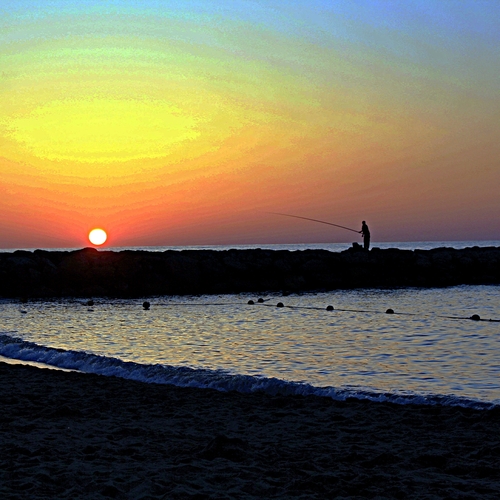 Photo #13846566