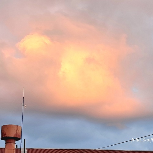 Photo #13846619