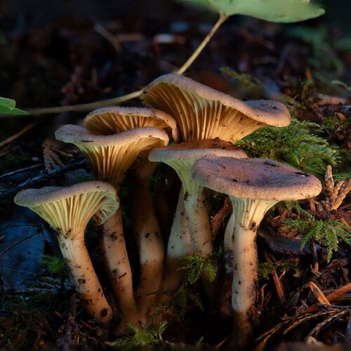 Photo #13846635