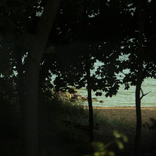 Photo #13846649