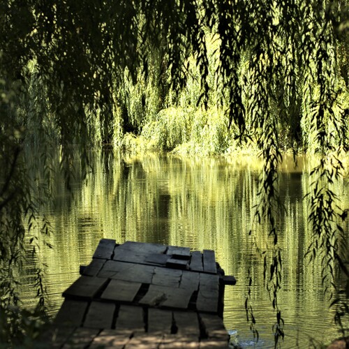 Photo #13846750