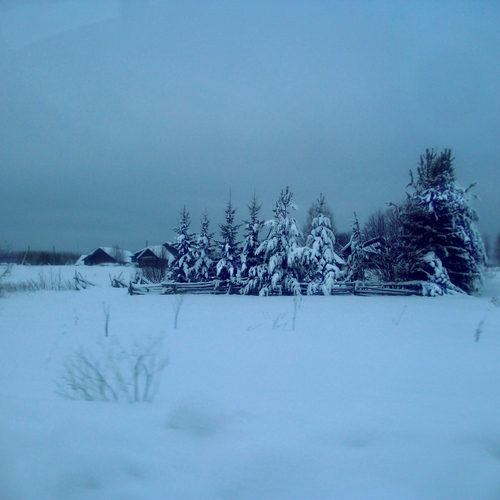 Photo #13846859
