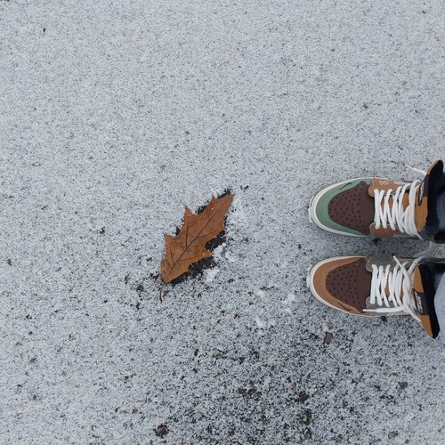 Photo #13846867
