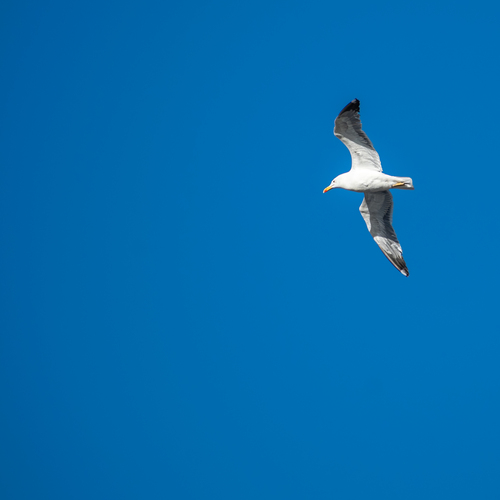 Photo #13846886