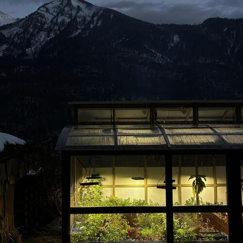 Photo #13846889