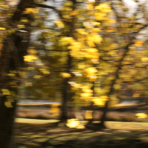 Photo #13846900