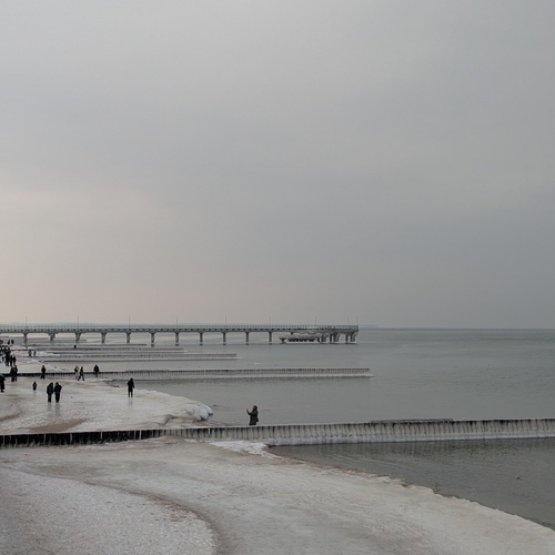Photo #13847011