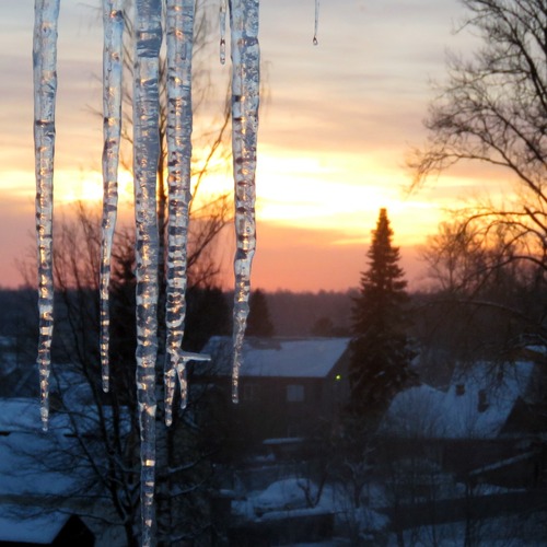 Photo #13847076