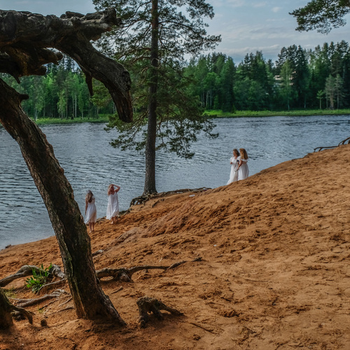 Photo #13847087