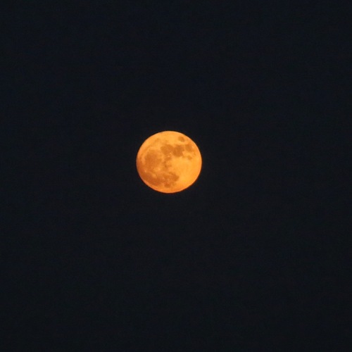 Photo #13847132