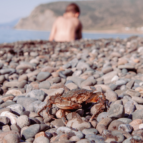 Photo #13847169