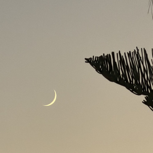 Photo #13847237