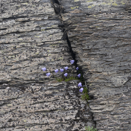 Photo #13847299