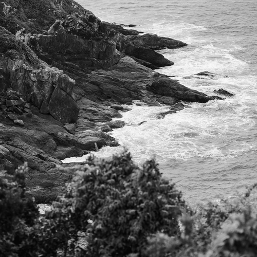Photo #13847326