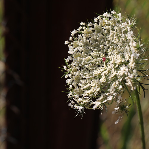 Photo #13847373