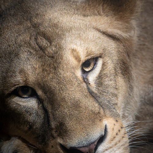 Photo #13847398