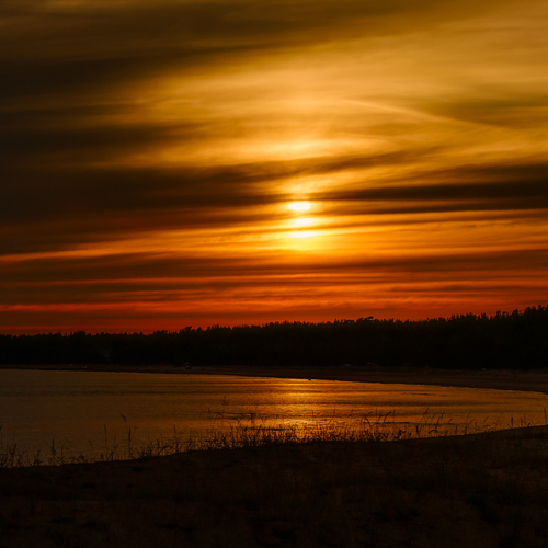 Photo #13847497