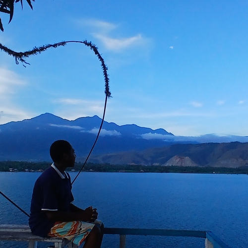 Photo #13847519