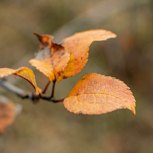 Photo #13847578