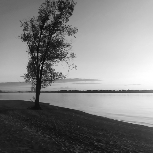 Photo #13847632