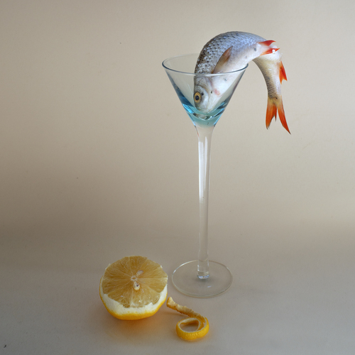 Photo #13847662