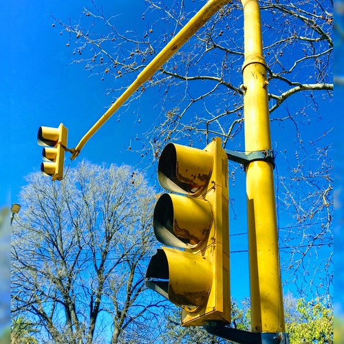 Photo #13847702