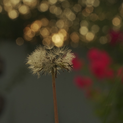 Photo #13847838