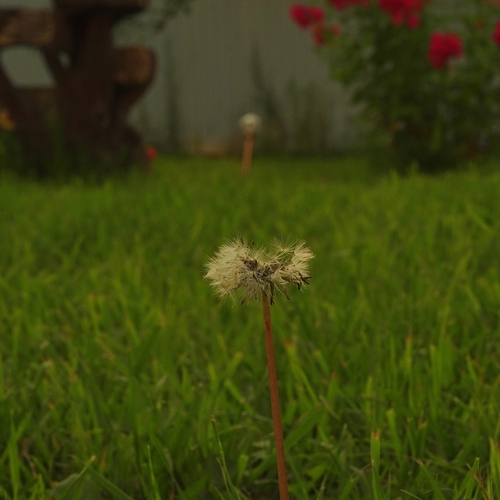 Photo #13847839