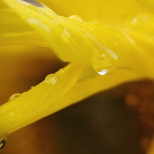 Photo #13847855