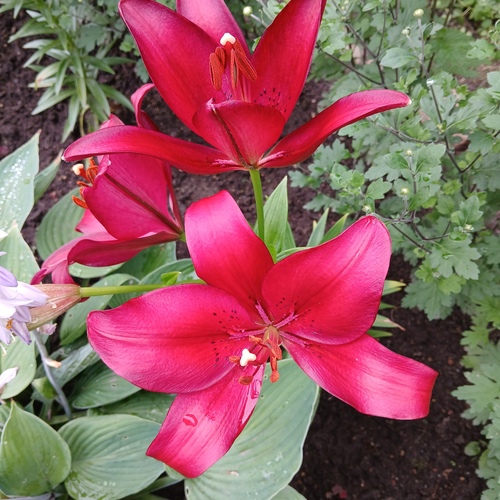 Photo #13847873