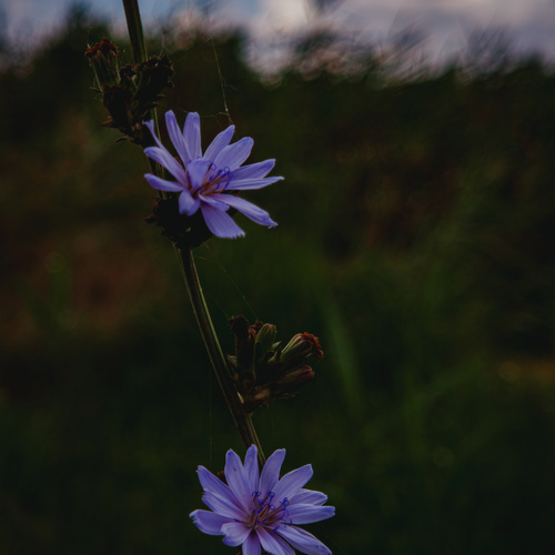 Photo #13847972