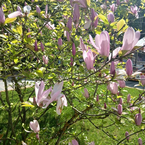 Photo #13848027