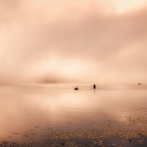 Photo #13848029