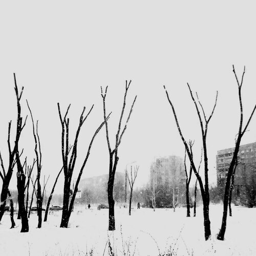 Photo #13848053