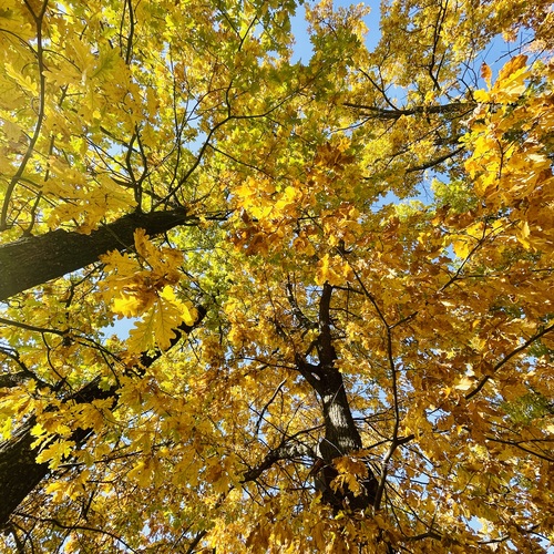 Photo #13848126