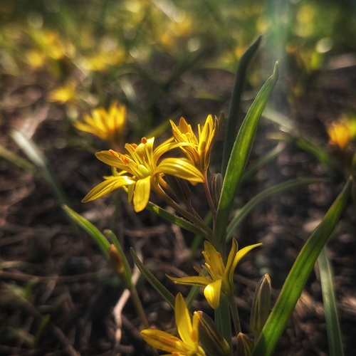 Photo #13848173